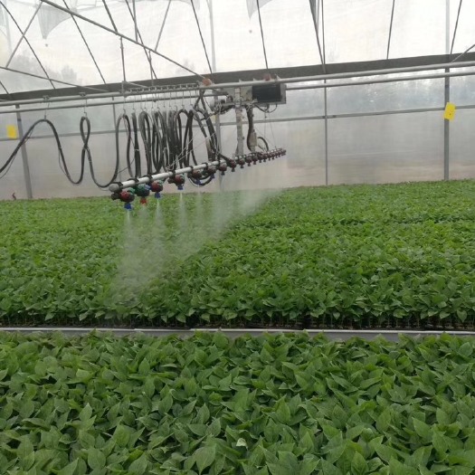 鸡泽县种植大棚  承接文洛式温室大棚 蔬菜大棚，养殖大棚，玻璃温室，温室配件