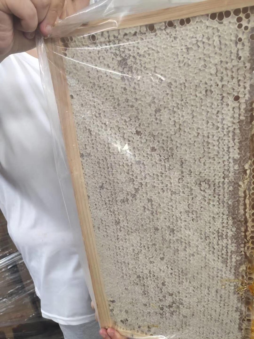 包邮包邮一张就包邮荆条蜜蜂巢蜜蜂场直发批发零售