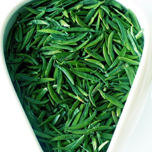雅安雀舌茶  雀舌小米芽茶叶绿茶2022新早春蒙顶山茶特级四川雅