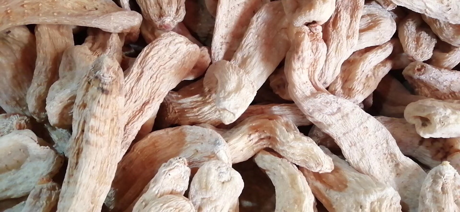 云南丽江红天麻 正品无硫磺天麻500克可磨粉切片包邮