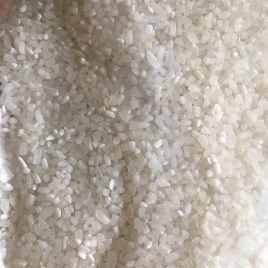 定远县 中碎米