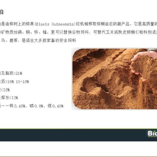 深圳棕榈仁粕 马来西亚直供棕榈柏