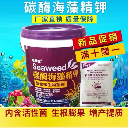 青州市复合微生物菌剂 氨基酸微生物菌肥瓜果蔬菜水溶肥海藻冲施肥