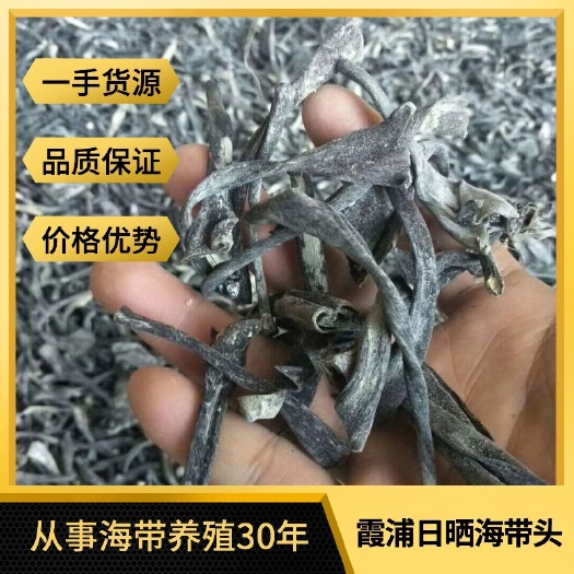 海带干 一手货源养殖户直销霞浦海带头500g批发泡发8倍