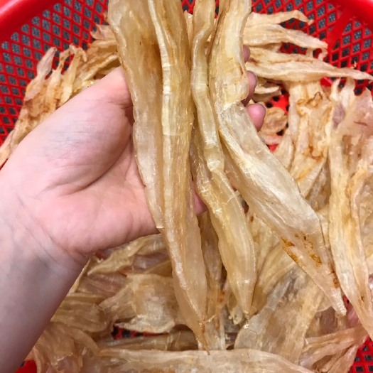 饶平县 尖尾鳘鱼胶