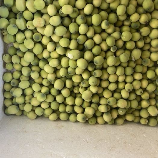 兰溪市莲子 太空莲，草莲，青莲！白莲
