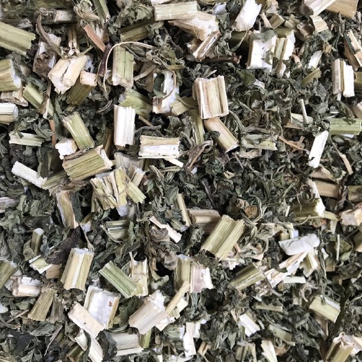 玉林益母草