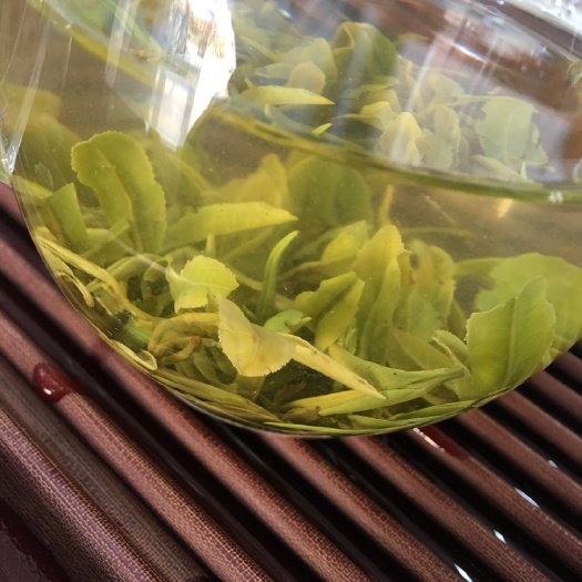日照 日照绿茶关爱人生每一天，京翰茶业欢迎您