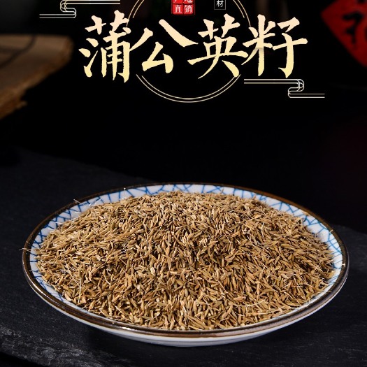 蒲公英种子 蒲公英籽 婆婆丁种子