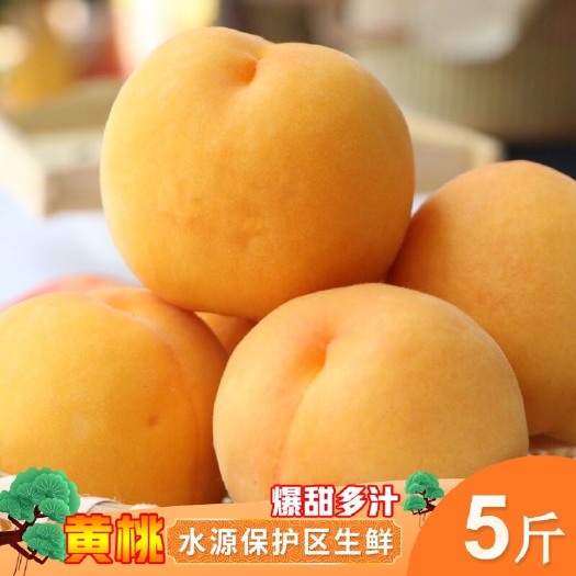 锦绣黄桃速发纯甜黄桃新鲜水果现摘现发孕妇当季水果非油桃