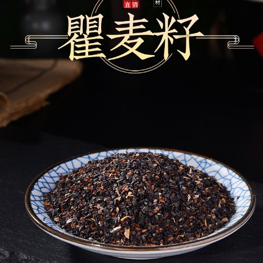 瞿麦种子新货五彩石竹种子花卉种子自家种植纯新籽