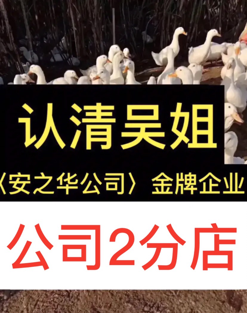 桂柳鸭苗  …23年的诚信企业店，白鸭苗