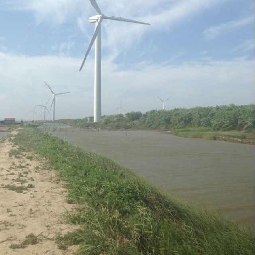 宁波 专业青蟹百亩养殖基地 长期供货 欢迎联系