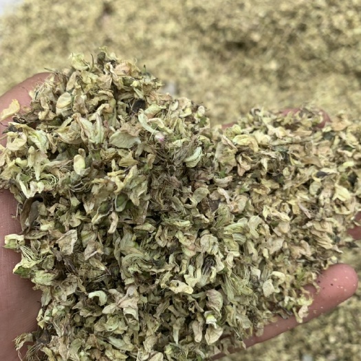 槐花 河北货源 无硫熏 一公斤包邮