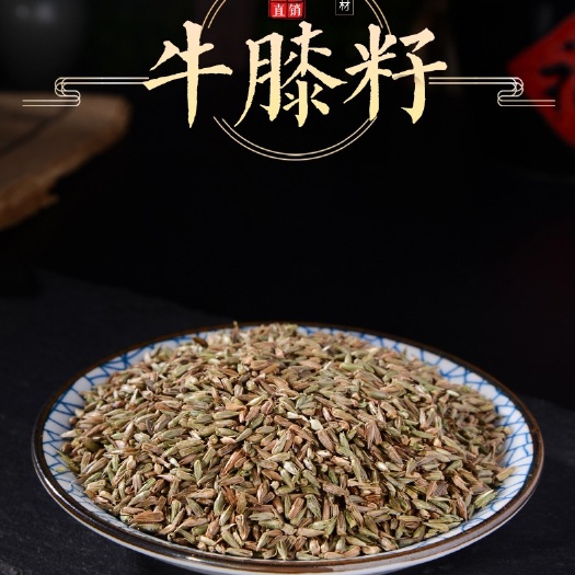 安国市牛膝种子  牛膝籽 牛夕籽