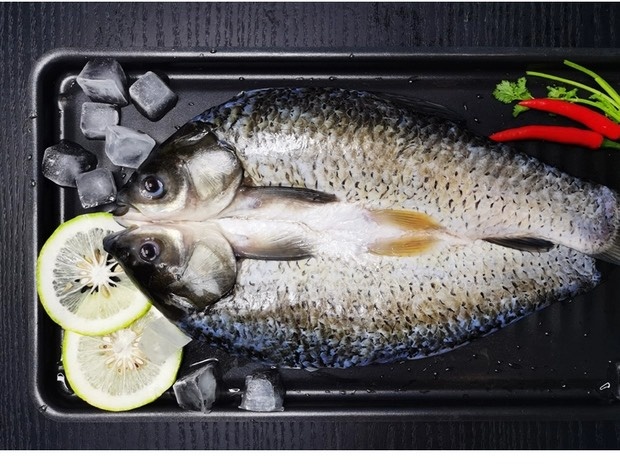 池塘草鱼  开背草鱼鲩鱼草鱼鲩鱼鲜活开背珠海斗门鲩鱼烤鱼开