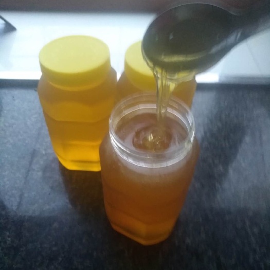 清原县椴树蜜 养在东北大山里的小蜜蜂！天然槐花蜜、椴树花蜜！