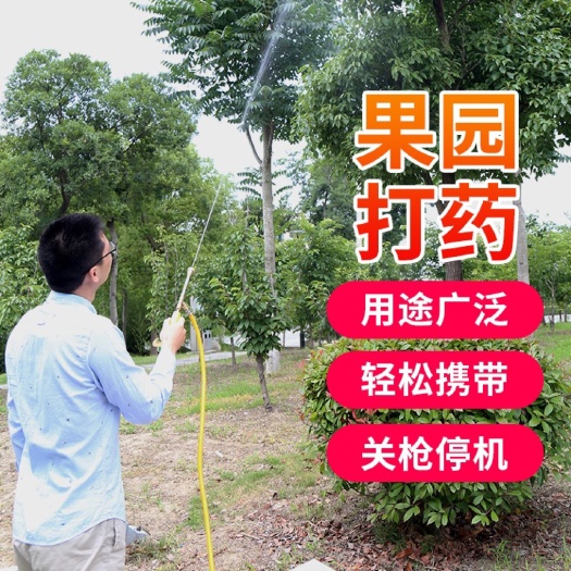 興化市〔包郵〕電動(dòng)農(nóng)用手提噴藥機(jī)洗車機(jī)抽水機(jī)高壓隔膜泵機(jī)器