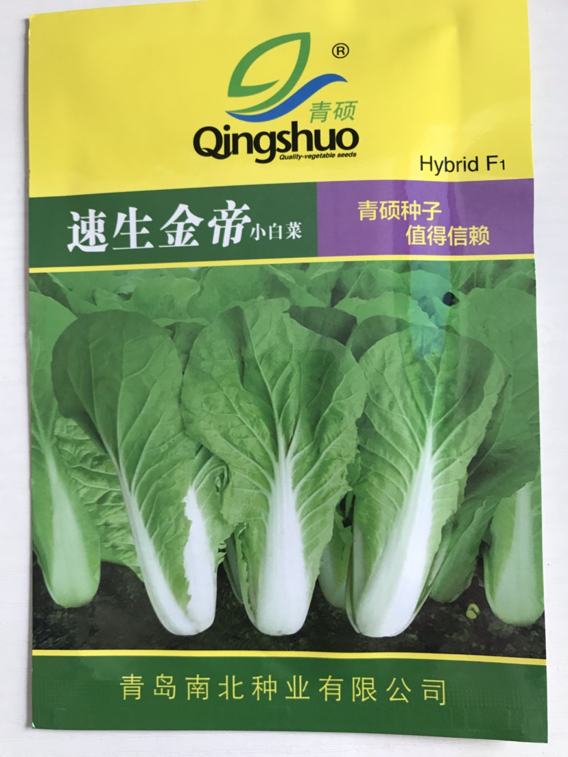  四季速生快菜种子20天可以吃的全季快菜毛白菜种籽农家菜孑包邮