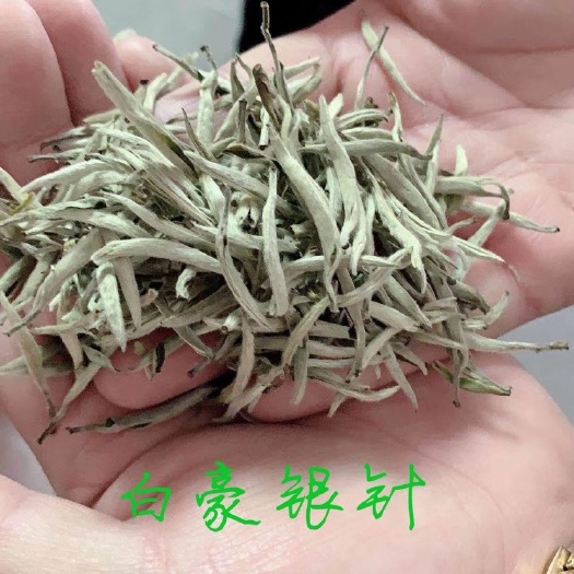 霞浦县 福鼎白茶