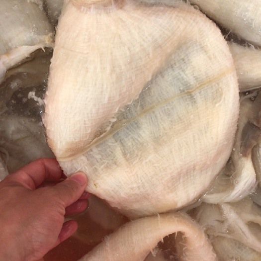 成都牛副产品  火锅食材毛肚地板/丝
