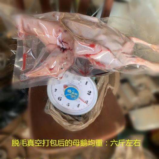 文昌市 海口区域优惠大酬宾优惠大白鹅（含宰杀配送）
