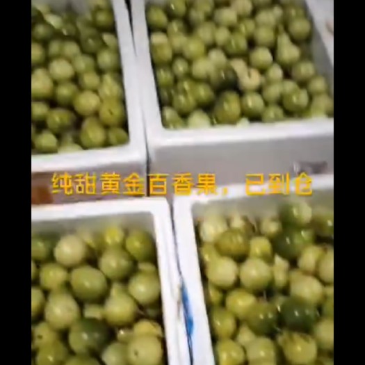漳州芭乐黄金百香果 黄色