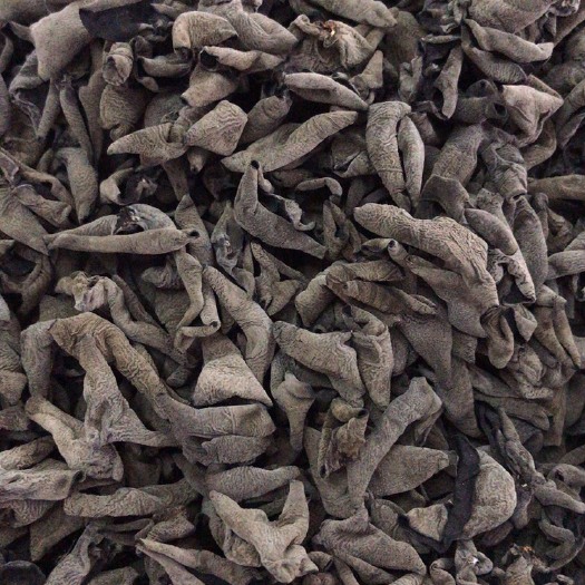 哈尔滨东北黑木耳 东北茶叶黑山