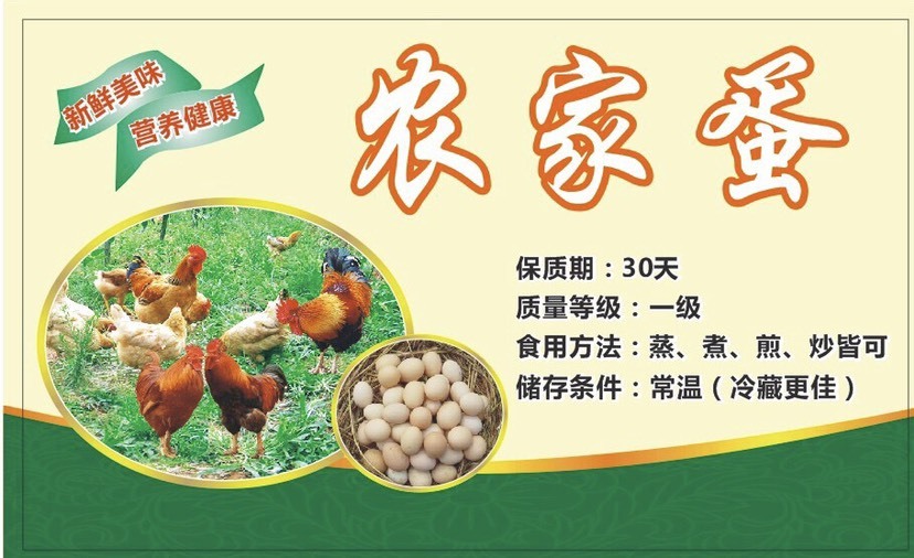江门土鸡蛋   鸡蛋初生蛋