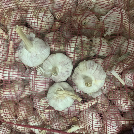 广州金乡大蒜 蒜中大混级，紫皮蒜，质量超好，可放3一4个月