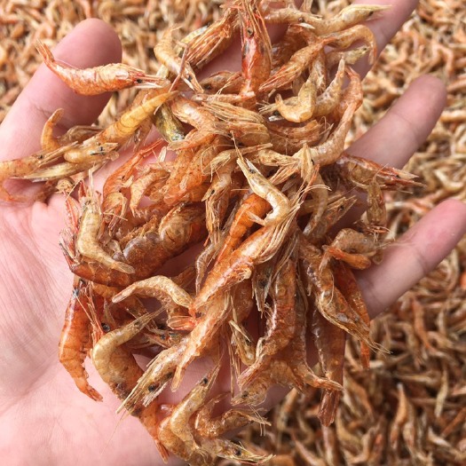 富川县红虾干  精品干虾广西富川河虾干无盐日晒虾大量批发价格实惠