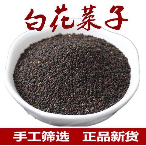  白花菜子  臭花菜籽！正品！无硫新货！干净无杂质！实拍图！