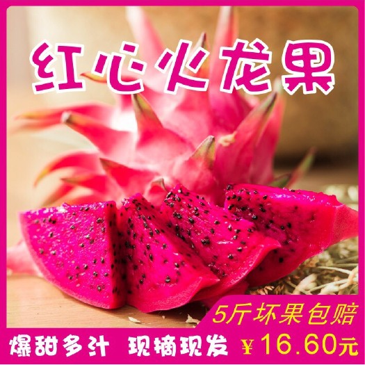 遂溪县 红心火龙果现摘现发金都大红一级新鲜热带水果当季5斤整箱包邮
