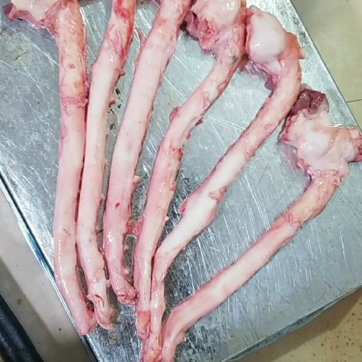 哈尔滨猪黄喉  黄喉
