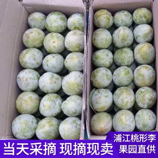 浦江县 浦江桃形李