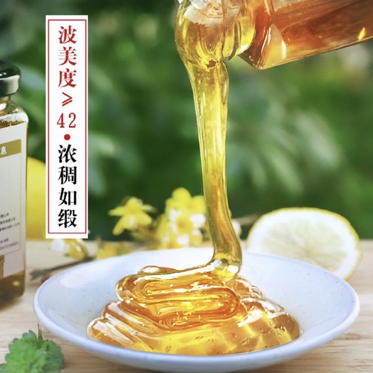 洪洞县 荆条蜜 1斤起批