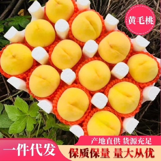 蒙阴县黄桃 70mm以上 3 - 4两