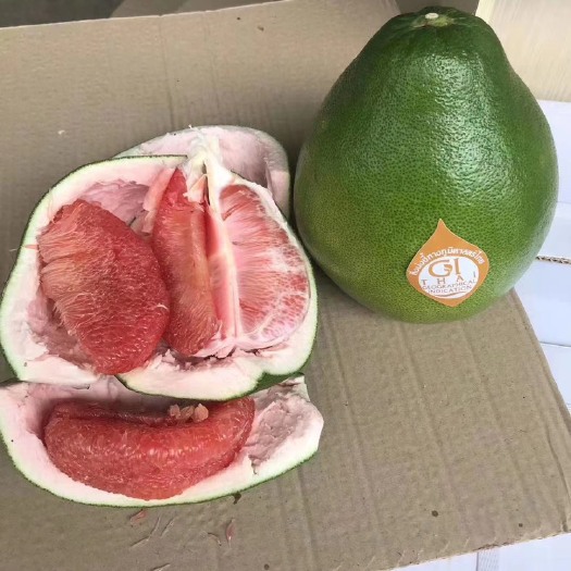 容县泰国红宝石柚苗 越南翡翠青柚苗  品种保证