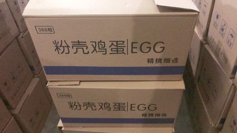 辛集市 鸡蛋土鸡蛋