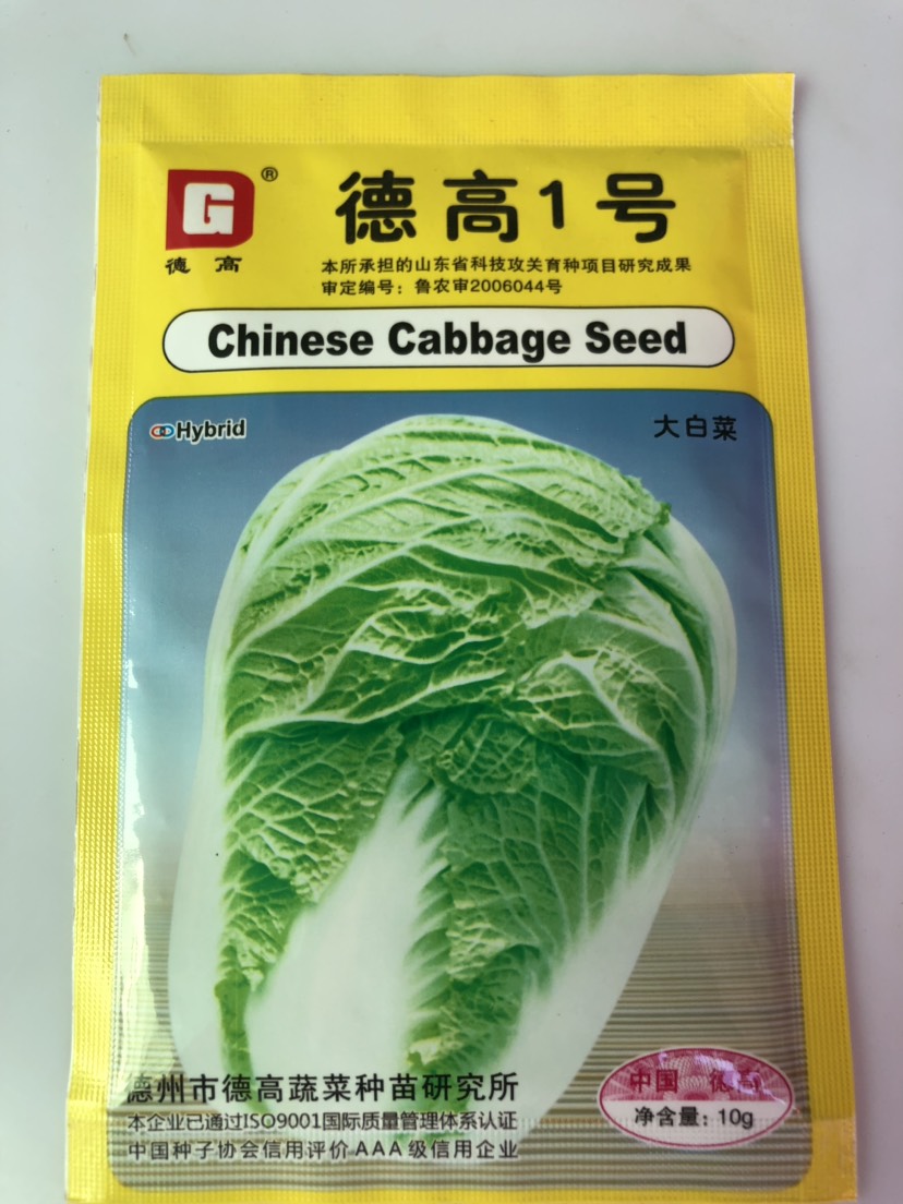 平远县德高一号大白菜种子 ￼产量好 抗病 稳定