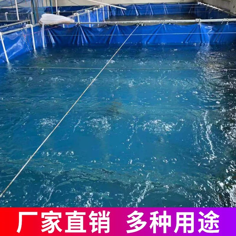 水产养殖箱 镀锌板高密度养殖帆布鱼池帆布水池 养鱼养虾蓄水池