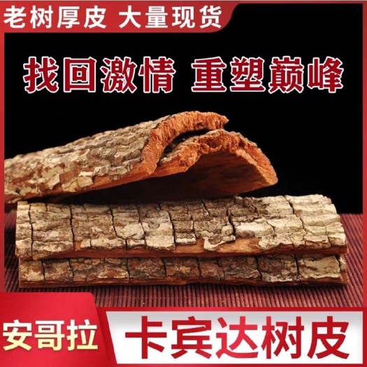 安国市椿皮 正品！！卡宾达树皮！补阳必备！泡水泡酒！天然春 药