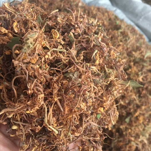 金银花无硫  包邮。今年7月份的新货晒干花