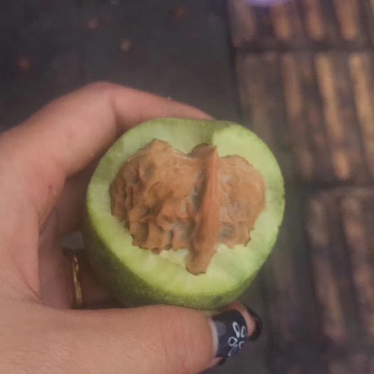阆中市 凉山青皮核桃，皮薄，味道超级香