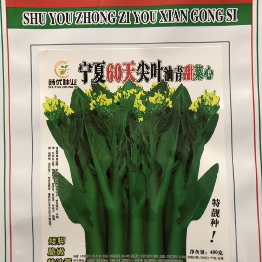  宁厦60天尖叶油青甜菜心四季菜心甜菜苔种子袋装400克