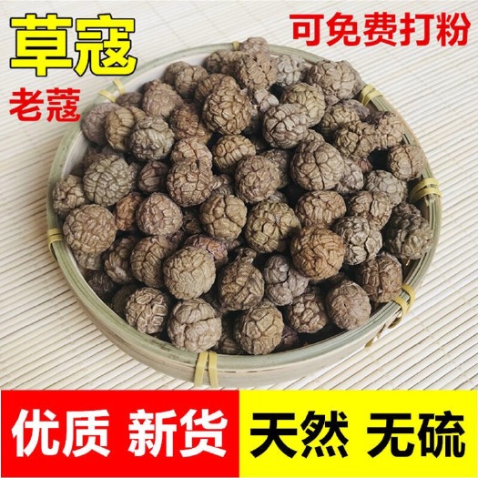 安国市草蔻 正品！无硫新货！干净无杂质！实拍图！品质保证！包邮到家