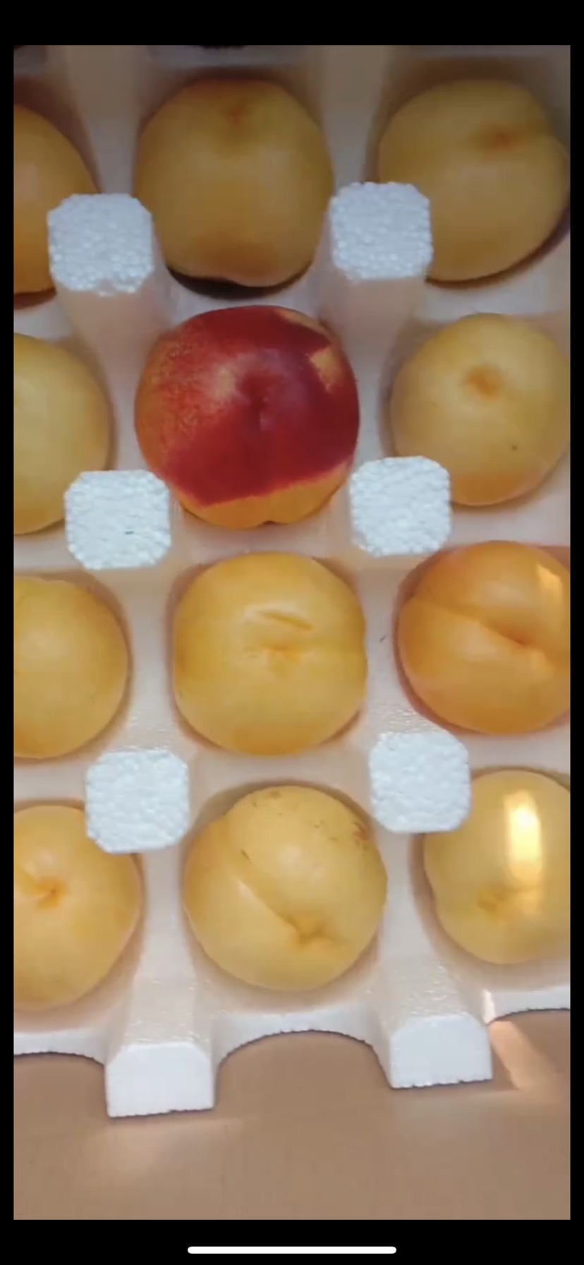  山东蒙阴黄金油桃 一手货源批发零售 超好吃 大果 水分足