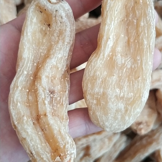 文山市昭通天麻