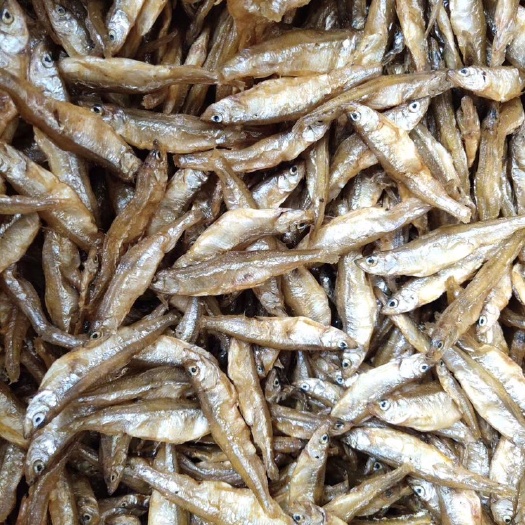 廉江市白条鱼 开肚 油炸 白肖鱼 一手货源
