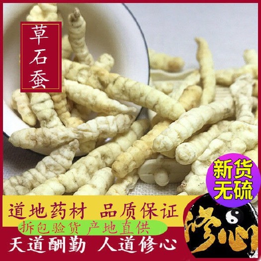 安国市 地参   地蚕  广西产地开胃化食强筋骨滋阴